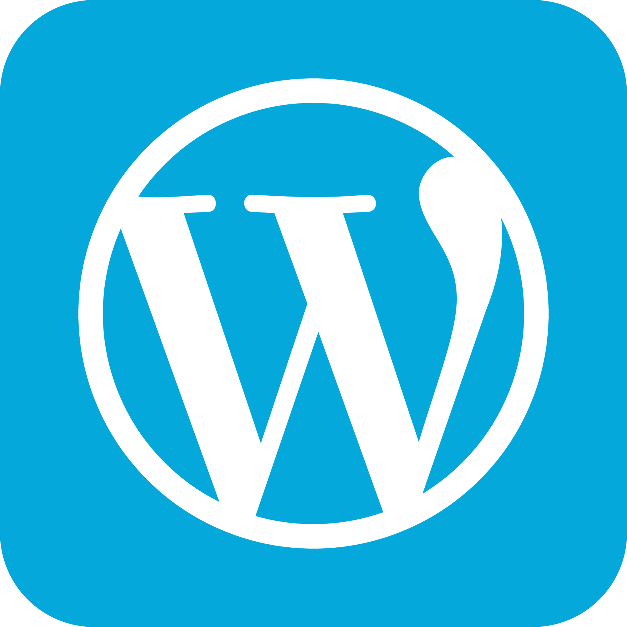 wordpress-icon-2048x2048-nw66awj8 (1)